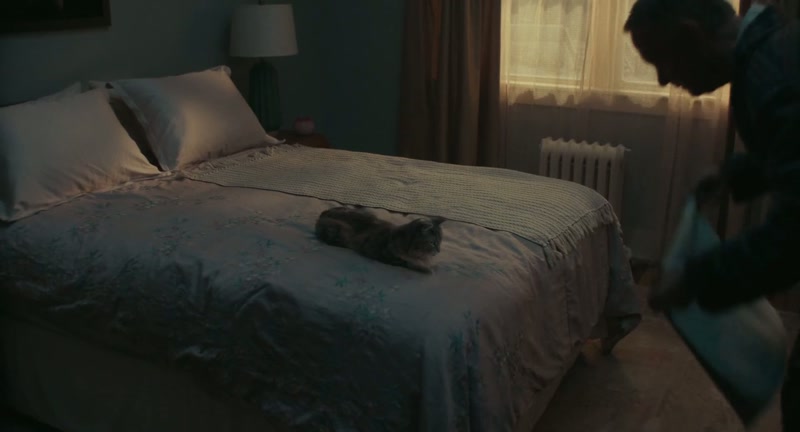 This is your bed
