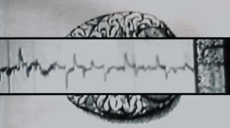 This is your brain on Nintendo