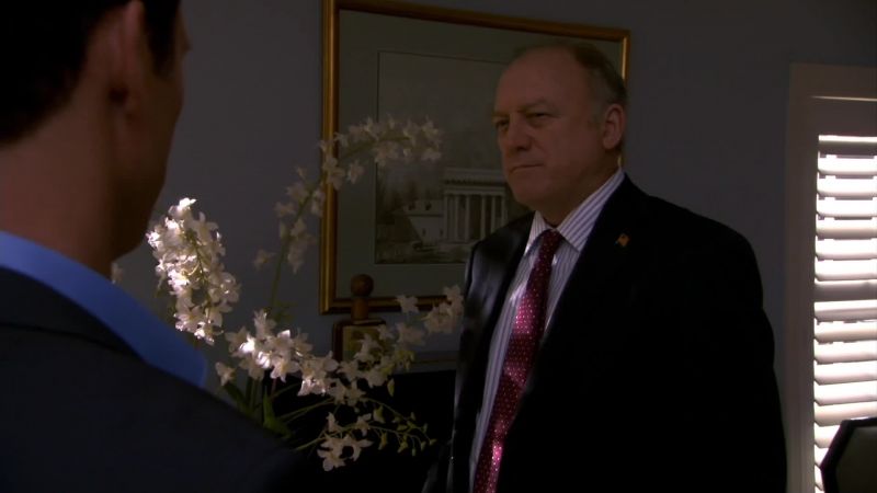 This was your idea, wasn't it? Shaking down a sitting congressman