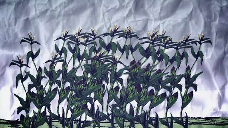 Thomas Jefferson sustained crop failures that