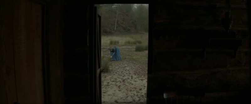 Thomas, look what I see. Let's try and catch it. Come on