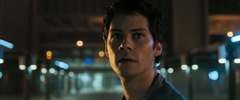 Thomas, you can save Newt