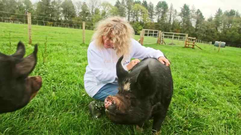 Those animals do not want to die