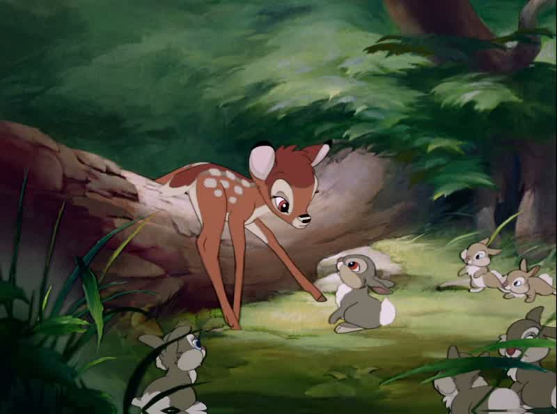 Those are birdsLook he's trying to talkHe's trying to say ''bird''Say ''bird''BirdBirdCome on say ''bird'' say ''bird''