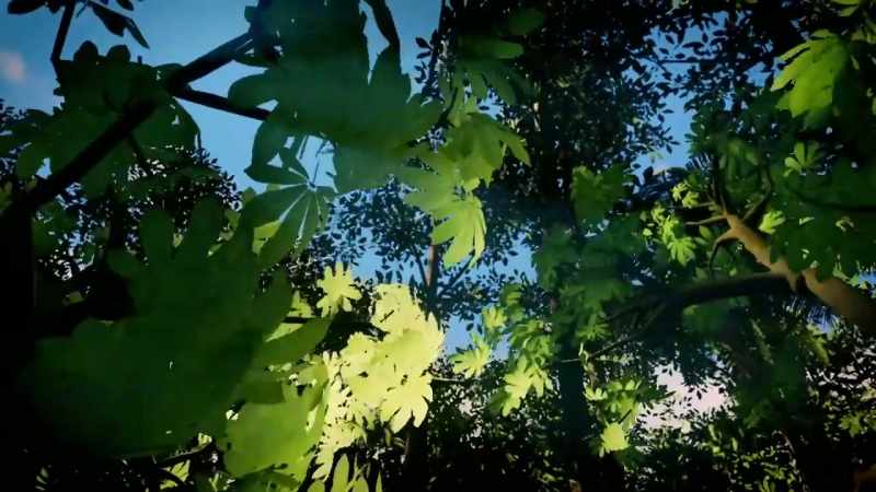 Those are my leaves