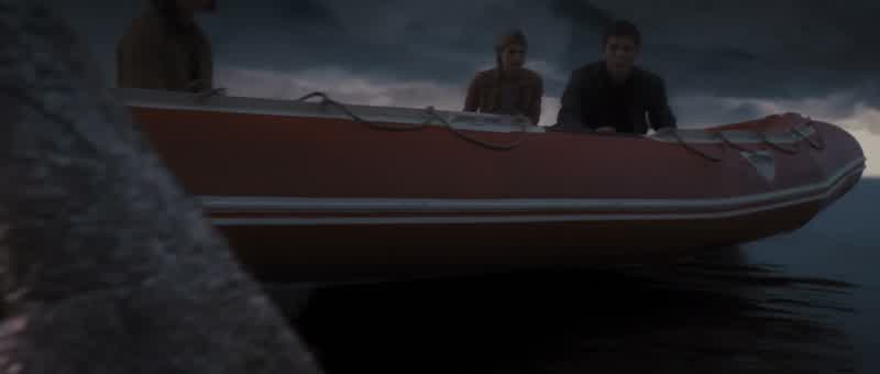 Those aren't sharks