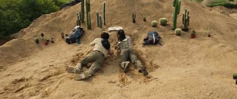 Those who have never come to the Sahara Desert