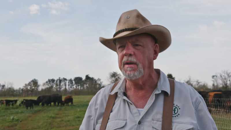 Those hogs in that swamp over there that's rooting and wallowing