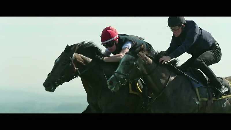 Those horses that might have Classic credentials