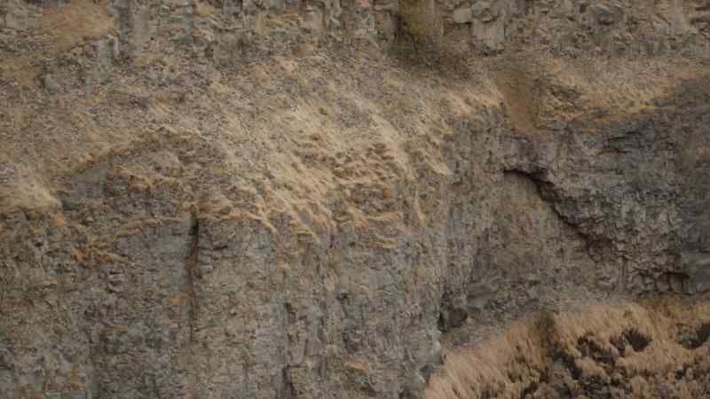 Those pterosaurs that are resting on the margins