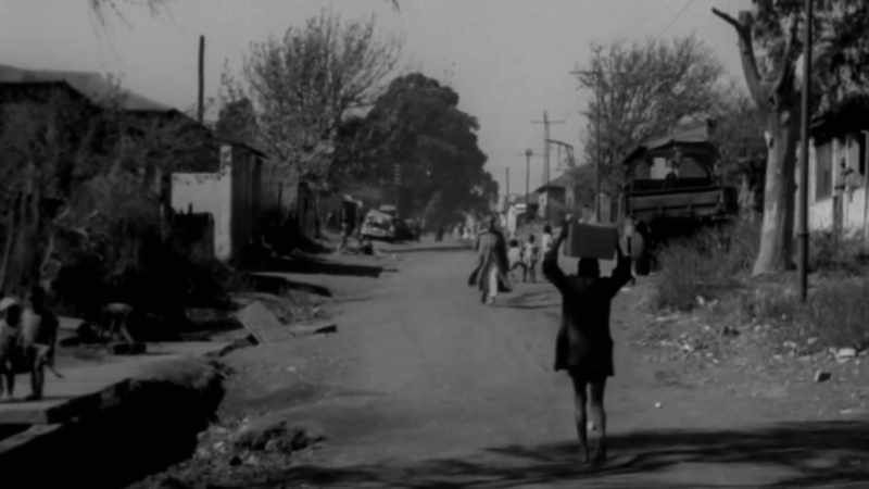 THOSE WHO CAME TO COLONIZE THIS COUNTRY
