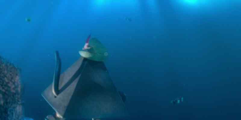 Though Triangle had appreciated Rocko's companionship