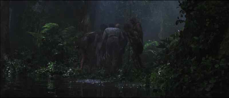 Thought you were afraid of water. Two dead monkey