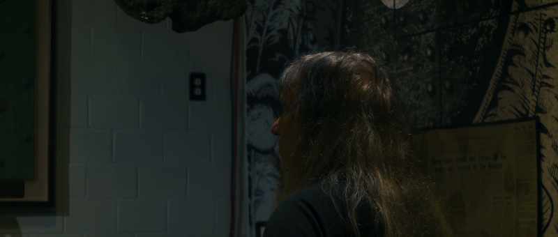 Thousands attend the Mothman Festival each year