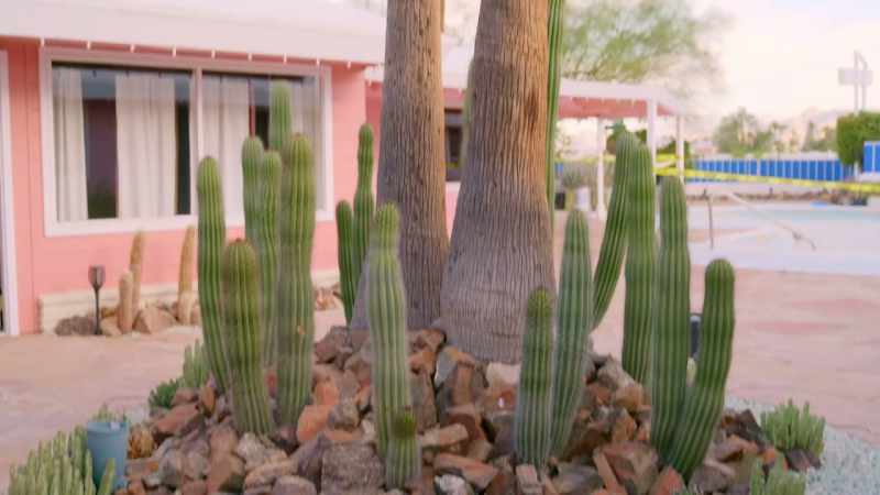 thousands of dollars... Cactus is so expensive