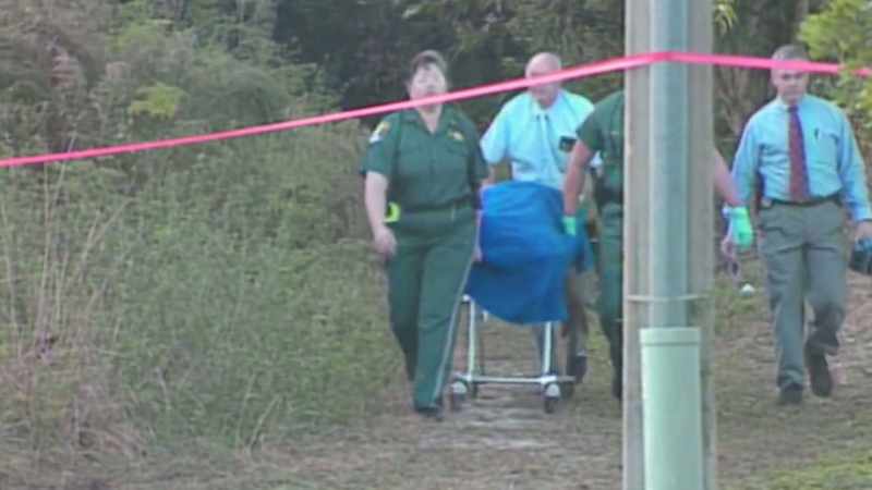 Three homicides, connected with satanic cults?