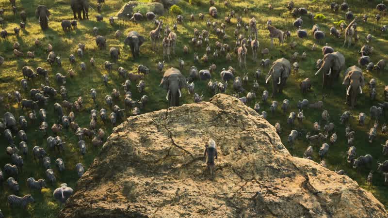 ?? It's the circle of life ♪ And it moves us all ♪ Through despair and hope ♪ Through faith and love ♪ Till we find our place ♪ On the path unwinding ♪ In the circle ♪ The circle of life