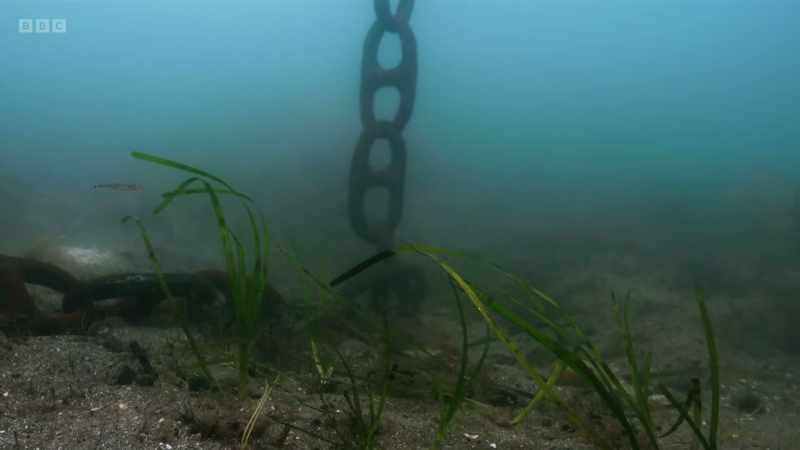 through dredging, pollution