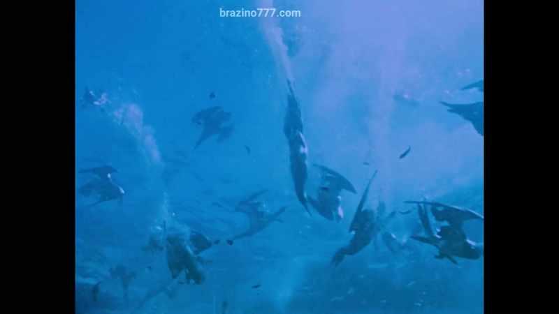 through his underwater films