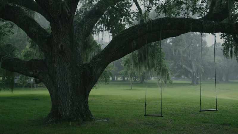 (thunder and rain)