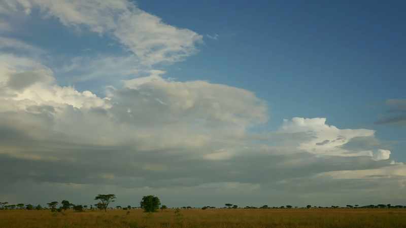 THUNDER RUMBLES