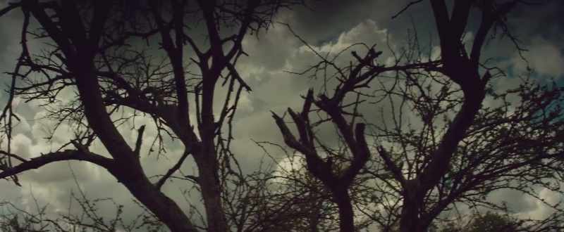 (thunder rumbles)