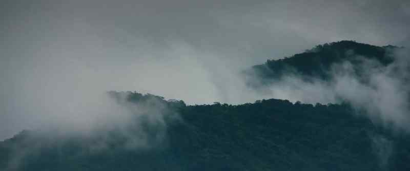 [thunder rumbling] - [rain pattering]