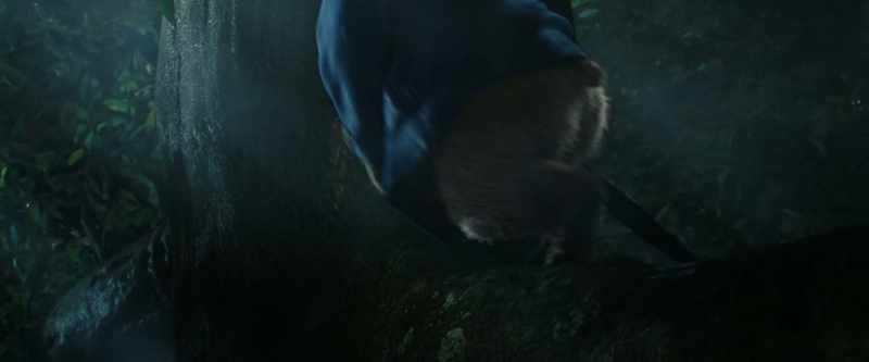 (Thunder rumbling)