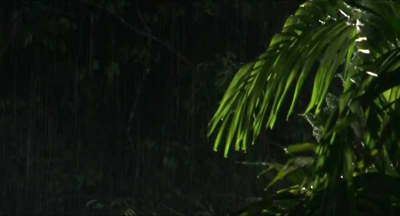 (THUNDER RUMBLING)