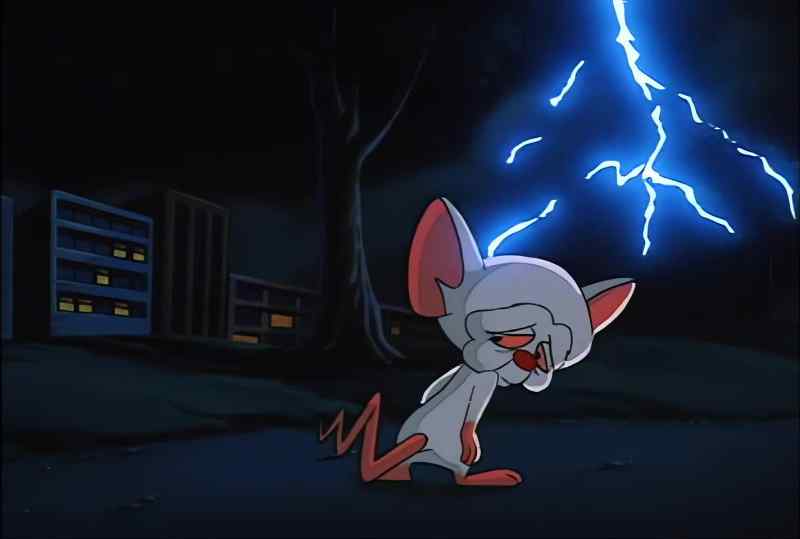 [THUNDER]
