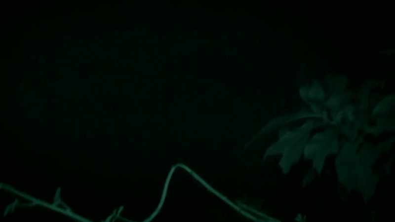[ THUNDERCLAP ] THE INFRARED CAMERA ALLOWS US