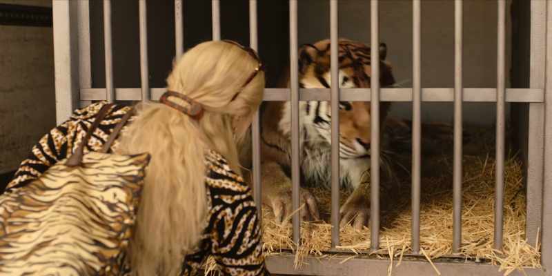 [tiger groaning]