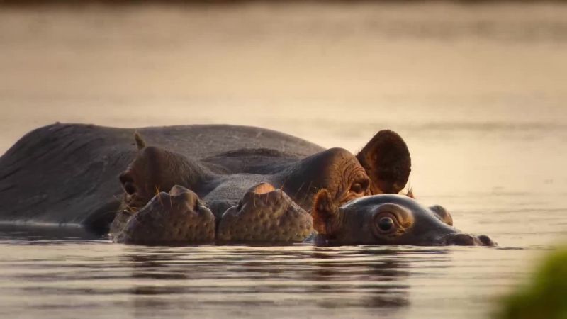 Till then, Mum is her only protection