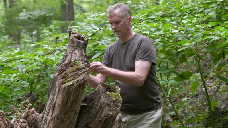 Tim and his assistant Marian set up their ERT gear