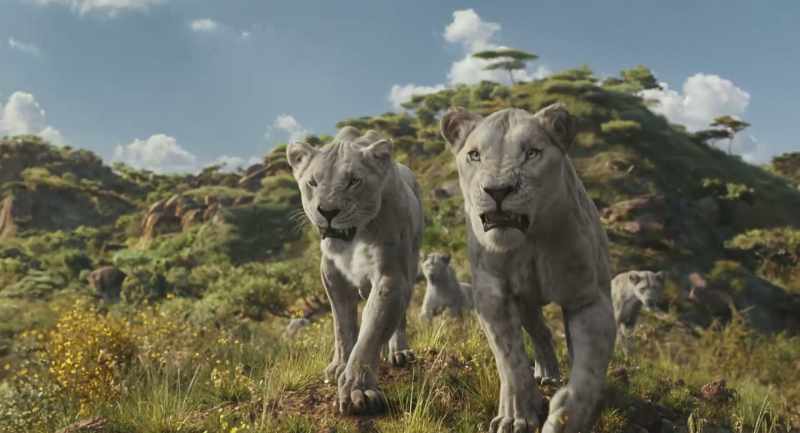 Time for their extinction