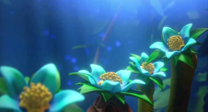 Time to wish your wishes