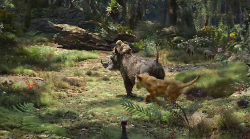 TIMON: This looks like a good spot to rustle up some grub!