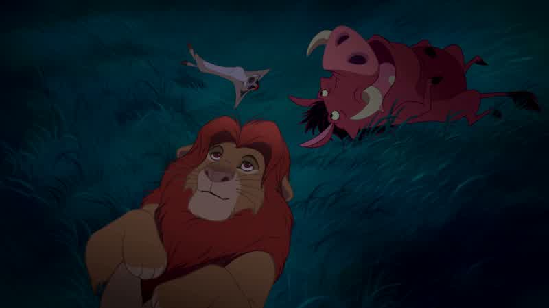 Timon? - Yeah?