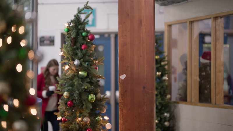 Tiny cameras on all sides project the image they see