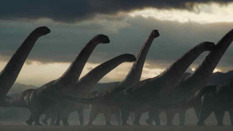Titanosaurs. Eighty-five feet long and weighing 40 tons