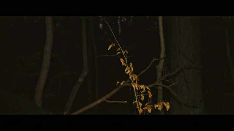 TJ (annoyed): Logan. Yo, it's getting dark!