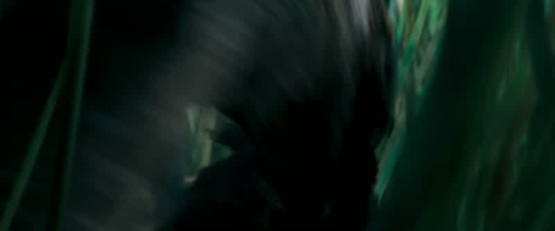 TlC'TlC: Run!