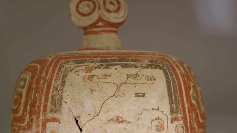 TO ARCHEOLOGIST RAFAEL LOPES