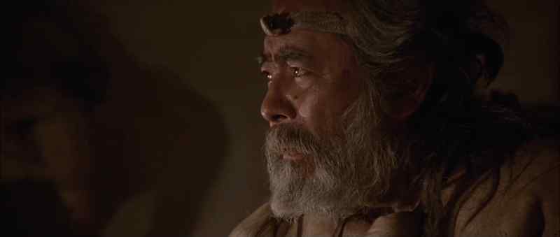 To be a shaman, you have to die