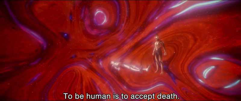 To be human is to accept death