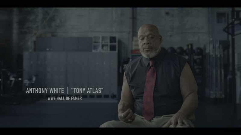 To explain what pro wrestling is