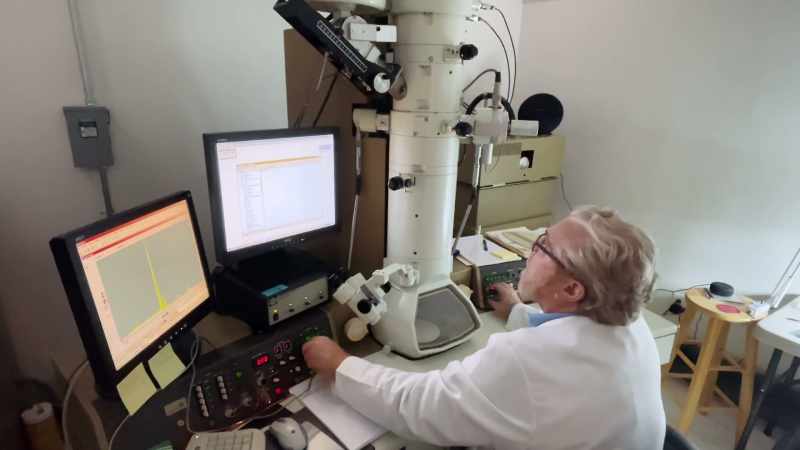 To find fibers that small, Sean used an electron microscope
