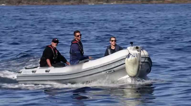 To find out what makes a great white bite so ferocious