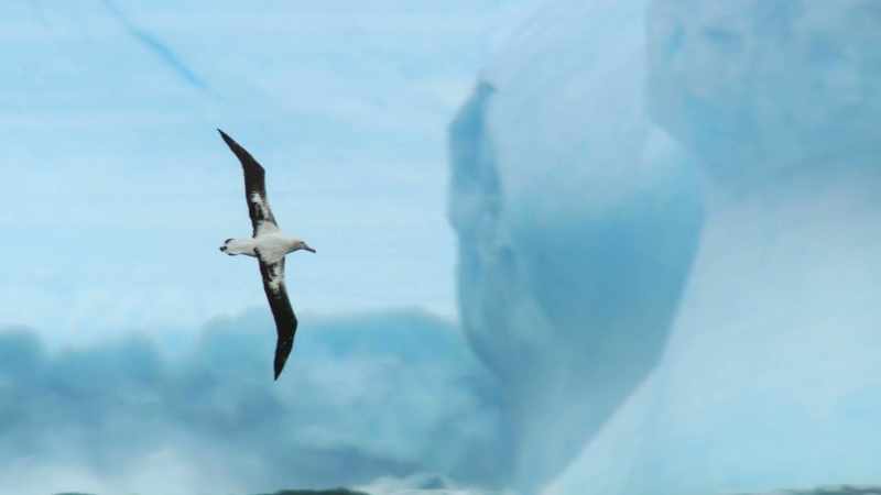 To find out where all this rubbish is coming from