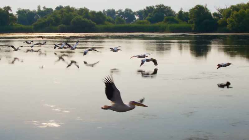 To find the best fishing